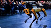 Princeton Students Combat 'Killer Robot' Stereotypes With 'Spot' TikTok Dances