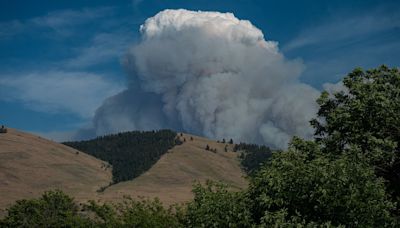 Miller Peak Fire burns 2,403 acres