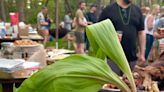 What are ramps? And why is everyone obsessed with eating them?