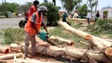 Delhi LG's 'role', DDA 'misreading' notification — curious case of illegal tree felling in Delhi Ridge