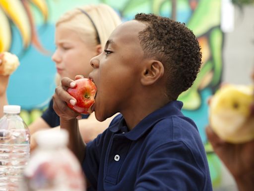 8 Best Grocery Stores To Shop for School Lunches and Save Money