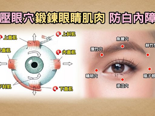 明目保視力！中醫穴位按摩茶飲 舒緩飛蚊症、預防白內障
