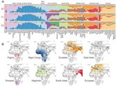 Genetic history of Africa