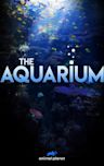 The Aquarium