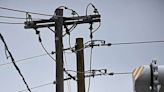Bird strike knocks out power to 5,600 Entergy customers in Faulkner County | Arkansas Democrat Gazette
