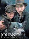 Die Abenteuer der Natty Gann