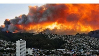 Directora (s) de Senapred hace autocrítica por gestión en megaincendio de Valparaíso - La Tercera