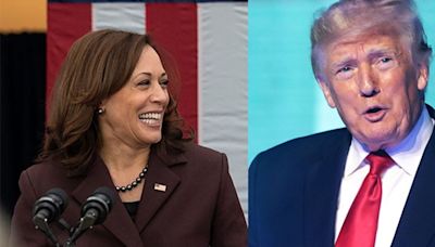 Report dinging Kamala Harris for 'nasty' attack on Trump faces swift backlash