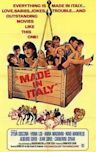Made in Italy (1965 film)