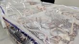 Man stopped at customs with 100 live snakes down his pants