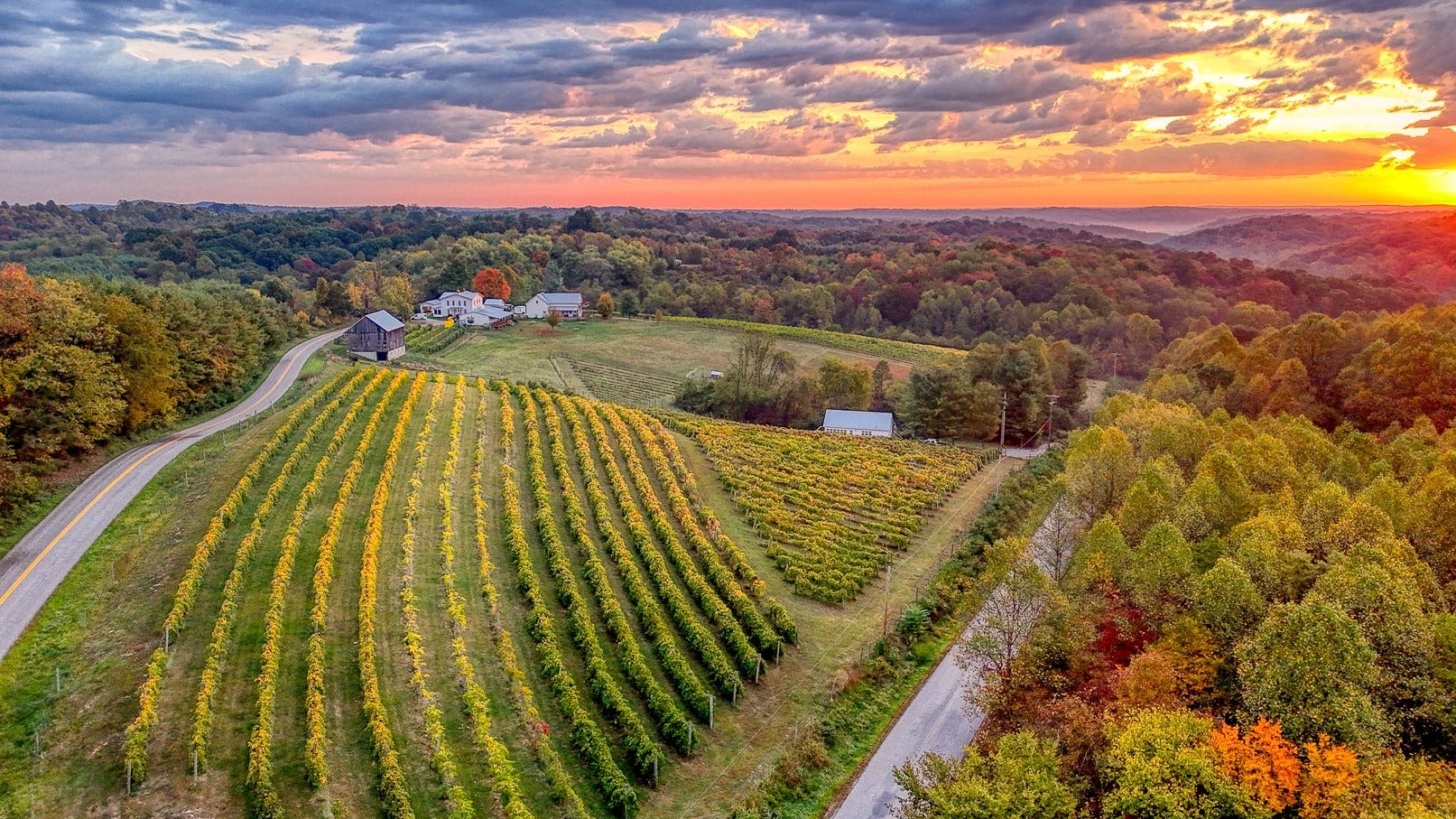 Make time for wine! June is Ohio Wine Month. Here's what you need to know to celebrate