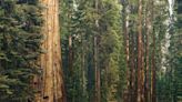 Sequoia India and Southeast Asia raises $2.85 billion funds