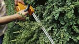 Gardeners face ‘unlimited fine’ and 6 months jail for trimming hedge in June