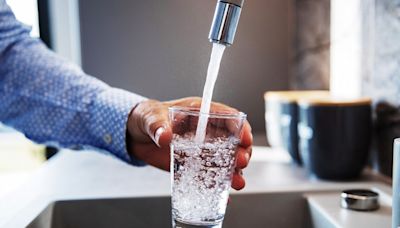 How to make sure your tap water is safe to drink