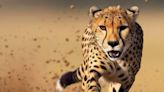 In Telangana, Cheetah Strays Into A Village. Injures Goats And Calves - News18