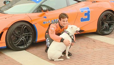 Indy 500 racers help raise money for city's animal shelter construction