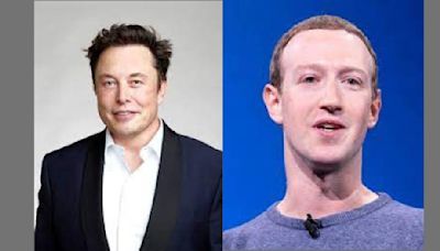 Elon Musk Reignites Feud For Fight With Mark Zuckerburg; Netizens React