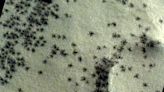 ‘Ice Spiders’ On Mars Star In Spacecraft Snapshots
