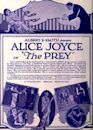 The Prey (1920 film)