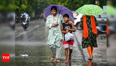 Vidarbha Monsoon Delivers 15% Surplus Rains This Year – Nagpur Sees 8% Increase | Nagpur News - Times of India