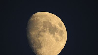 Eclipse de Súper Luna, en vivo: seguí el fenómeno astronómico en la Argentina