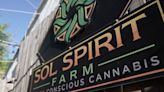 Legal marijuana in other states hurts livelihood of California growers