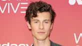 Shawn Mendes Releases Emotional Ballad 'It'll Be Okay' Two Weeks After Camila Cabello Breakup