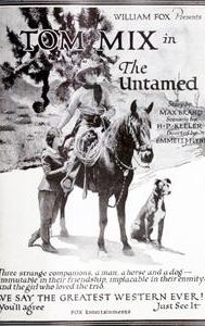 The Untamed