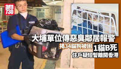 大埔富善邨單位傳惡臭揭34貓狗被困其中1貓B喪命 41歲女住戶被捕（更新） | am730