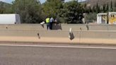Un Guardia Civil evita el atropello de un anciano que deambulaba desorientado en la autovía A-23