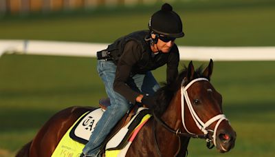 Kentucky Derby: Fierceness' odds keep shrinking ahead of the 150th race