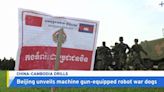 Beijing Unveils Machine Gun-Equipped Robot War Dogs - TaiwanPlus News