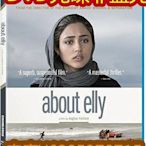 電影光碟 113044 【關於伊麗海灘的那一天】2009 伊朗高分片 DVD