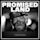 Promised Land (TobyMac song)