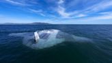 "Tiburón fantasma" y "Manta raya": Australia y EE.UU. presentan sus nuevos drones submarinos