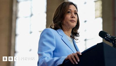 Who is Kamala Harris? The VP's star is rising among Democrats