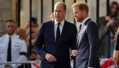 King Charles III pushes Prince Harry and Prince William to amend a ages-old ‘feud’