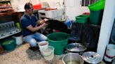 Habitantes de Bogotá almacenan y reutilizan agua durante primer racionamiento por sequía en 40 años