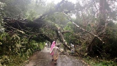 Heavy rains in parts of Shivamogga, Hassan, and Chikkamagaluru
