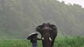 This Heartwarming Monsoon Video Of Elephant And Mahout Will Brighten Your Day - News18