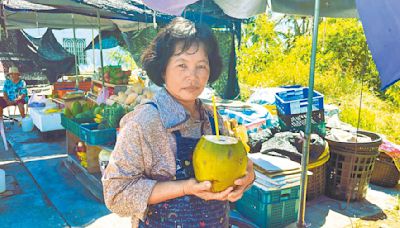 台東奇景椰子一條街 水姑娘傳授選椰撇步