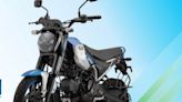 Bajaj Freedom, world's 1st CNG bike, launched in India: Price, feature, mileage