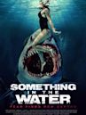 Something in the Water (2024 film)