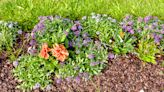 These Are the Pros and Cons of Mulching Your Garden