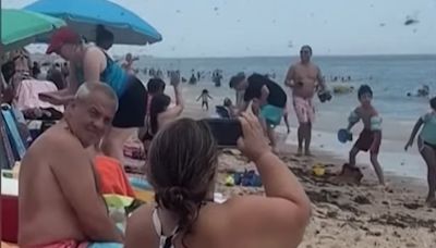 Video: Dragonfly swarm fills the sky like a ‘black cloud’ at a Rhode Island beach