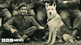 Essex D-Day soldier and para-dog buried together in Normandy