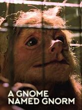 A Gnome Named Gnorm