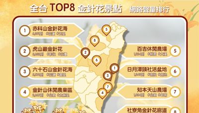 賞金針好解憂！ 網推全台TOP8金針花景點不能錯過 | 蕃新聞