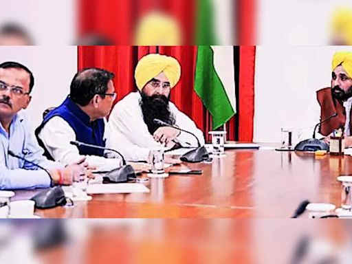 Punjab CM Bhagwant Mann Leads Meeting to Combat Farm Fires and Promote Paddy Straw Management | Chandigarh News - Times of India