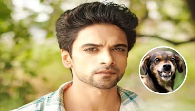 Aakash Ahuja Bitten By A Dog On Badall Pe Paon Hai Set - Exclusive